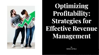 optimizing profitability strategies for e ective
