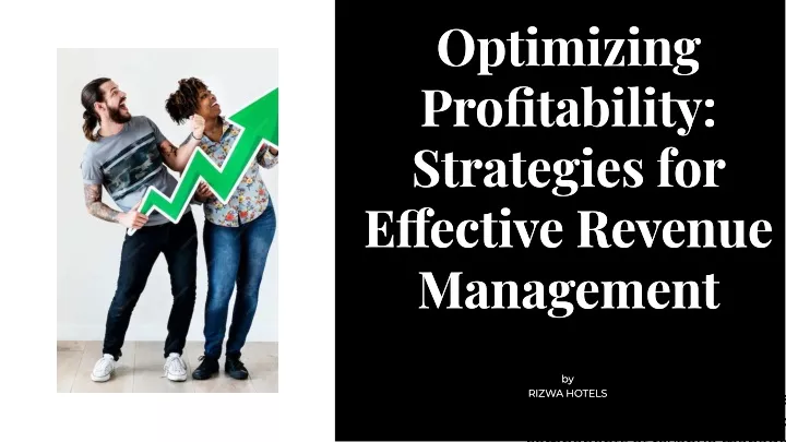 optimizing profitability strategies for e ective