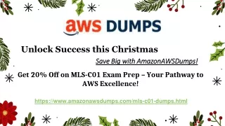 Believe in Christmas Magic? Unlock MLS-C01 Practice Test Success at 20% Off