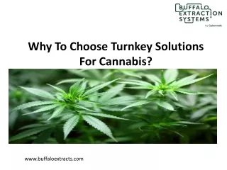 Why To Choose Turnkey Solutions For Cannabis?