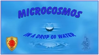 Microcosmos in a Drop of Water (Steve)