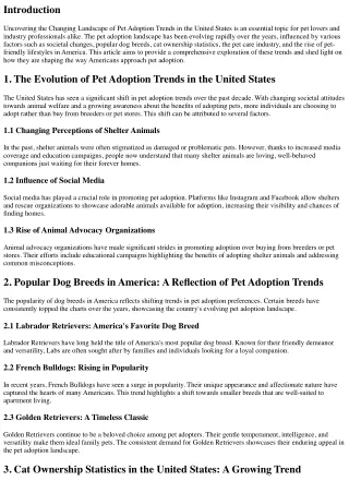 Uncovering the Changing Landscape of Pet Adoption Trends in the United States