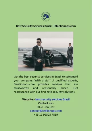 Best Security Services Brazil  Bluelionops.com