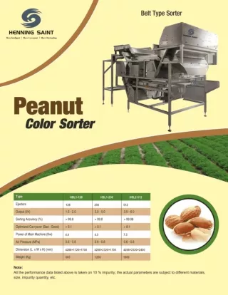 Henning Saint Peanuts Color Sorting Machine Profile