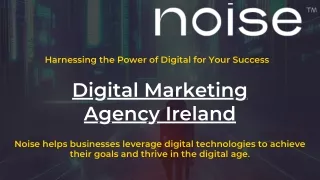 Boost Your Online Presence - noise Agency