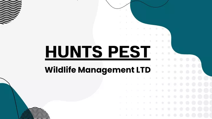 hunts pest wildlife management ltd