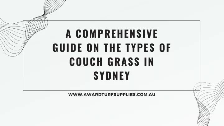 a comprehensive guide on the types of couch grass