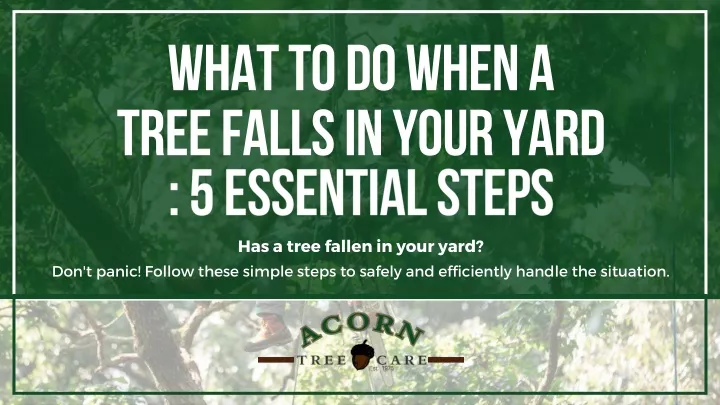 what to do when a tree falls in your yard