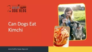 Can Dogs Eat Kimchi - The Happy Healthy Dog Blog