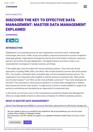 Discover the Key to Effective Data Management_ Master Data Management Explained
