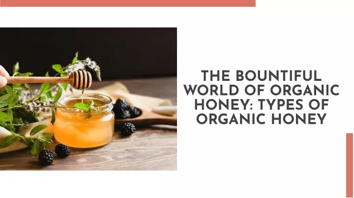 the bountiful world of organic honey types