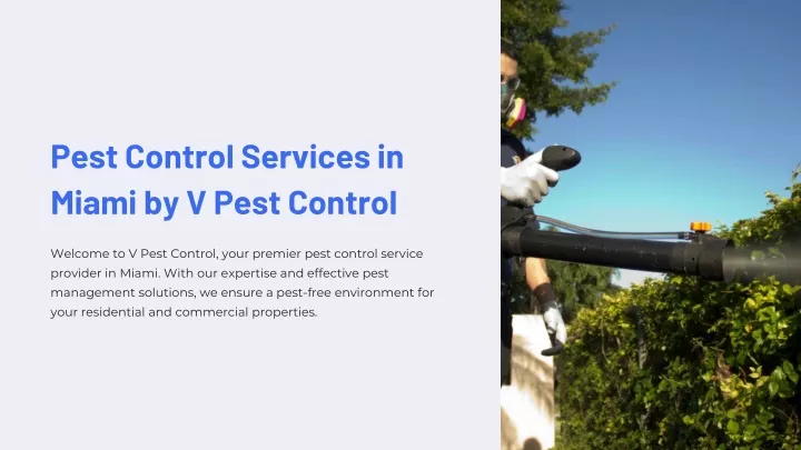 pest control services in miami by v pest control