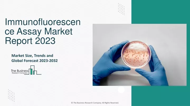 immunofluorescen ce assay market report 2023