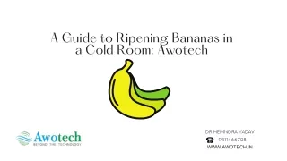 Ripening Banana With Awotech Cold Room
