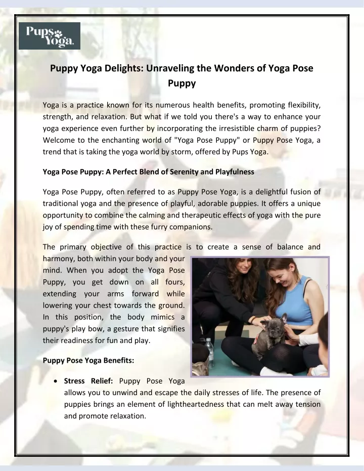 puppy yoga delights unraveling the wonders