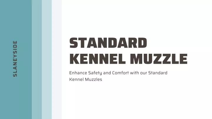 standard kennel muzzle enhance safety and comfort