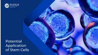 Potential Application of Stem Cells