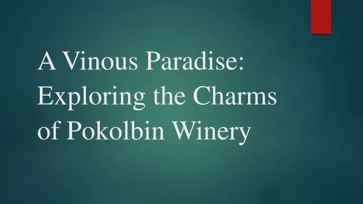 a vinous paradise exploring the charms