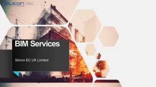 BIM Services pdf