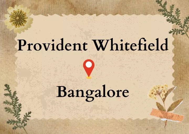 provident whitefield