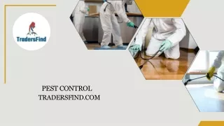 Best Pest Control Services & Companies in UAE on TradersFind