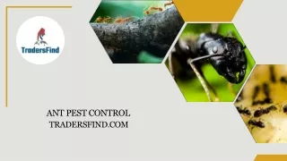 Discover top Ant Pest Control Services in UAE on TradersFind