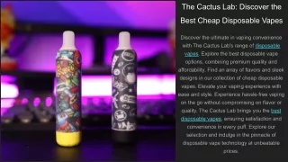 The Cactus Lab_ Discover the Best Cheap Disposable Vapes