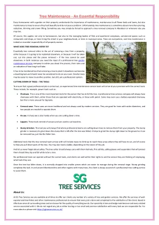 Tree Maintenance - An Essential Responsibility
