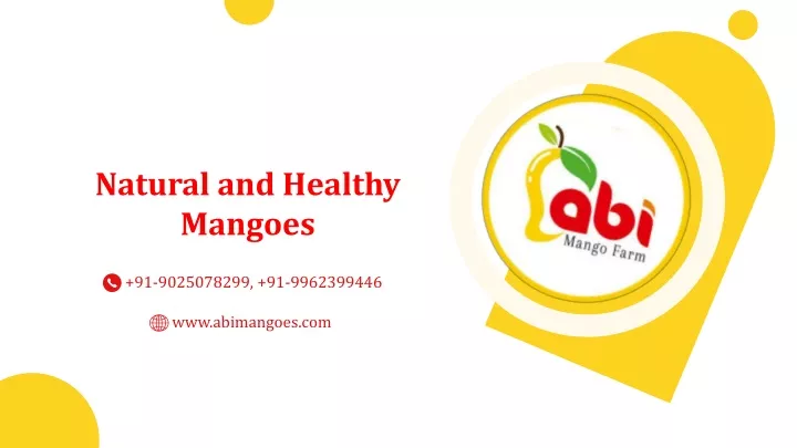 91 9025078299 91 9962399446 www abimangoes com