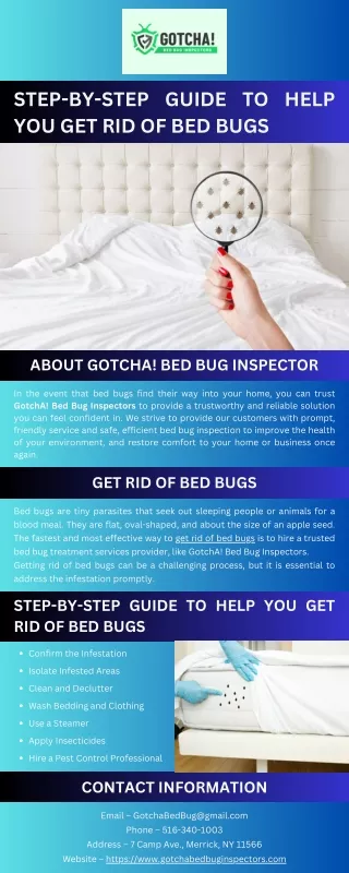 Step-By-Step Guide to Help You Get Rid of Bed Bugs