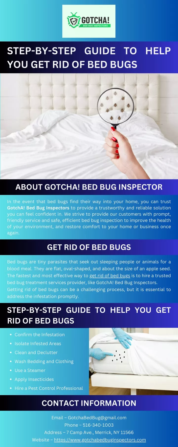 step by step guide to help you get rid of bed bugs