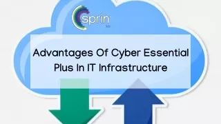 Advantages Of Cyber Essential Plus - Sprint Infinity