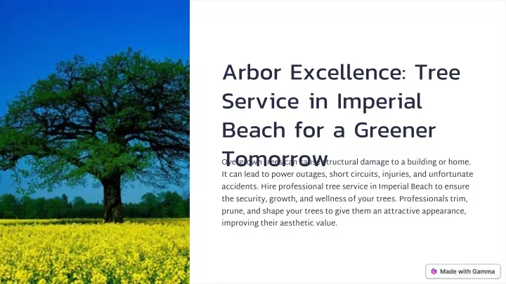 arbor excellence tree service in imperial beach
