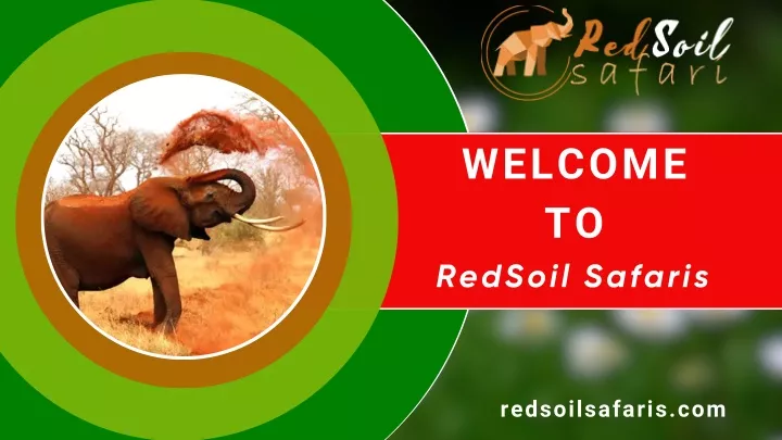 welcome to redsoil safaris