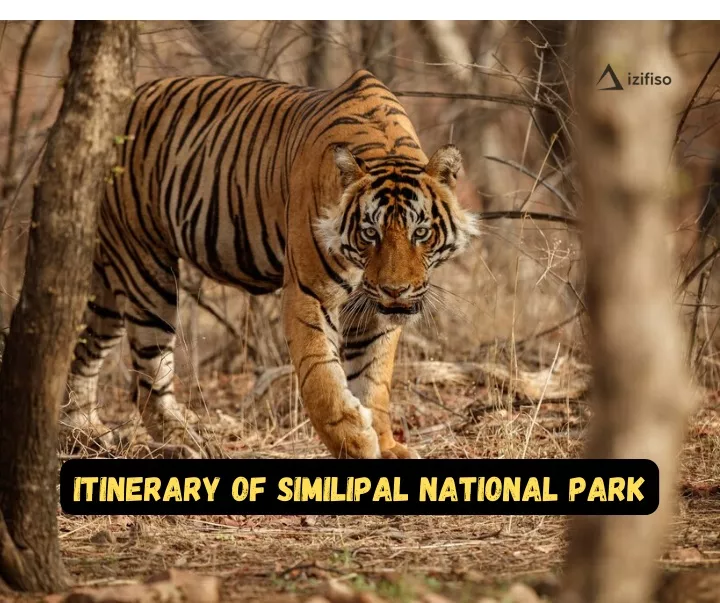 itinerary of similipal national park
