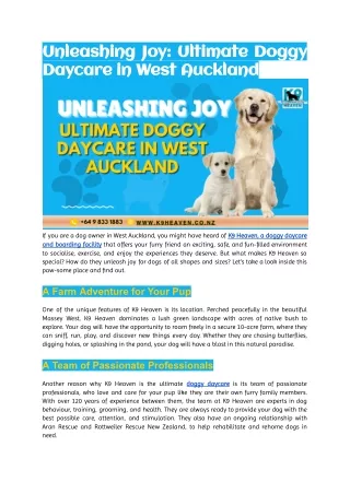Unleashing Joy_ Ultimate Doggy Daycare in West Auckland