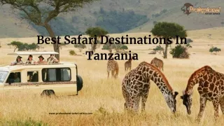 Best Safari Destinations In Tanzania