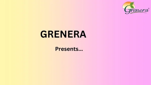 Wholesale Moringa Powder SuppliersIn Florida