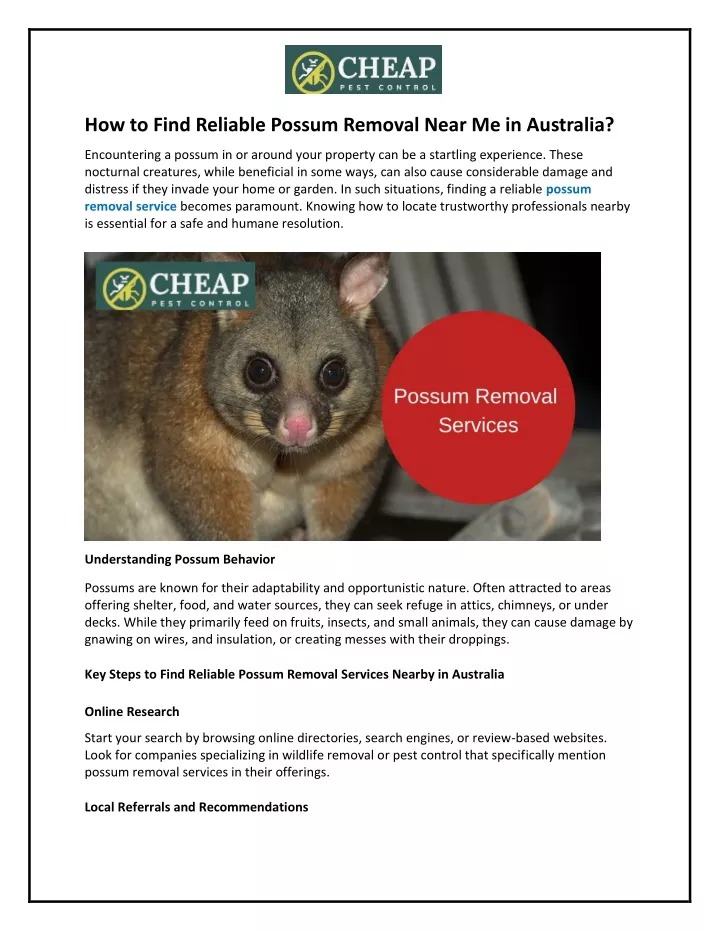 how to find reliable possum removal near