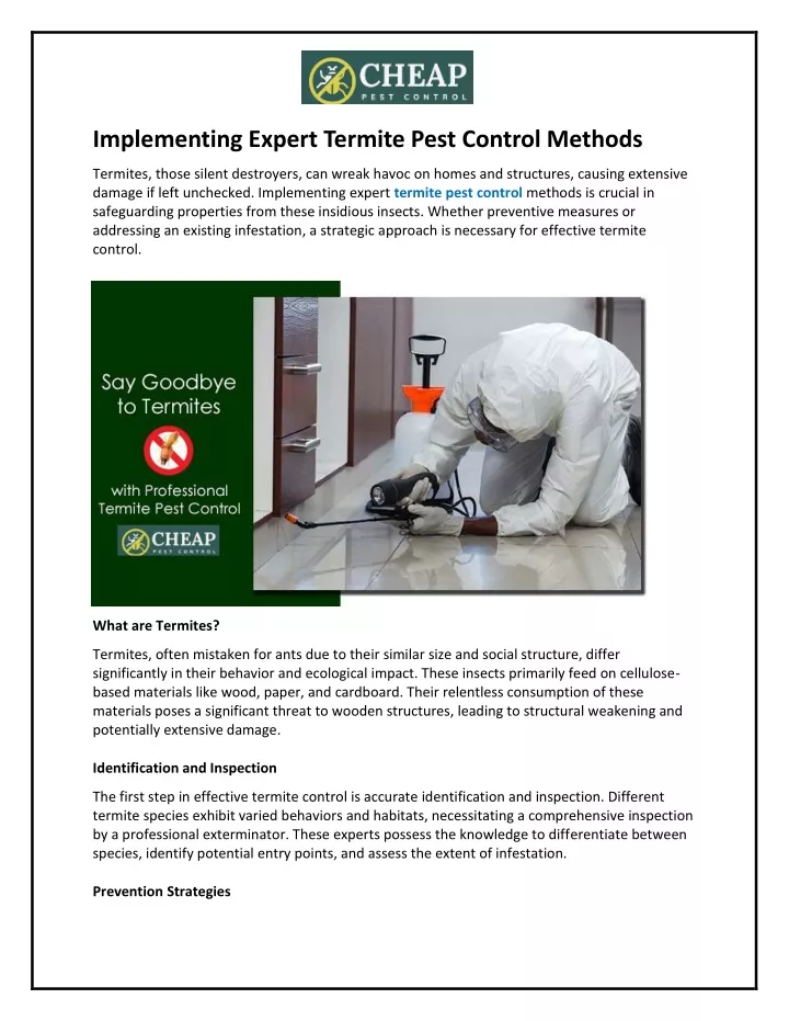 implementing expert termite pest control methods