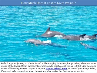 How Much Does it Cost to Go to Wasini?