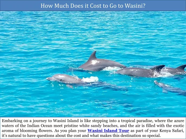 how much does it cost to go to wasini