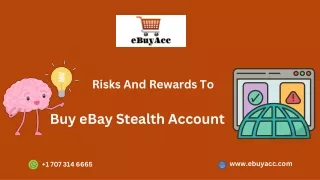 Risks And Rewards To Buy eBay Stealth Account