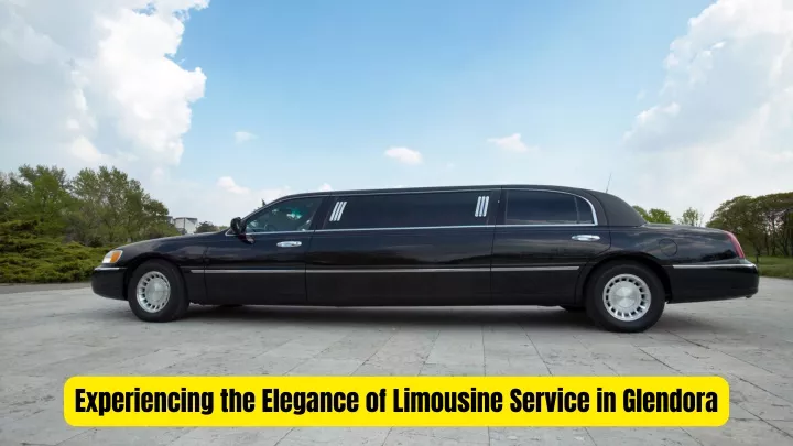 experiencing the elegance of limousine service