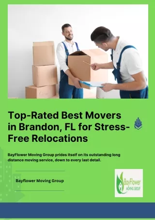 Top-Rated Best Movers in Brandon, FL for Stress-Free Relocations