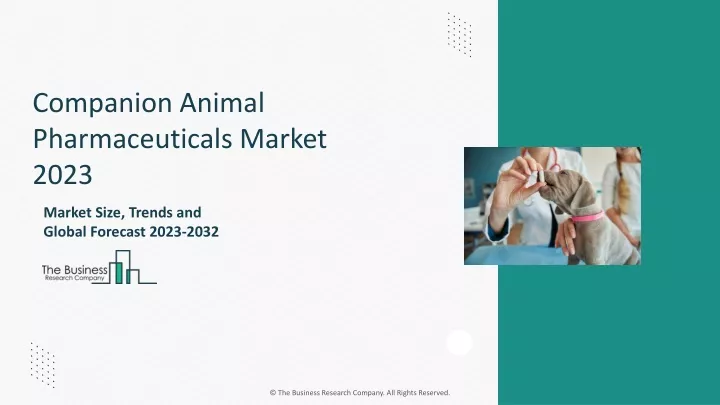 companion animal pharmaceuticals market 2023