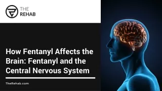 Fentanyl and the Brain Exploring its Effects on the Central Nervous System