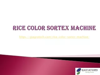 rice color sortex machine