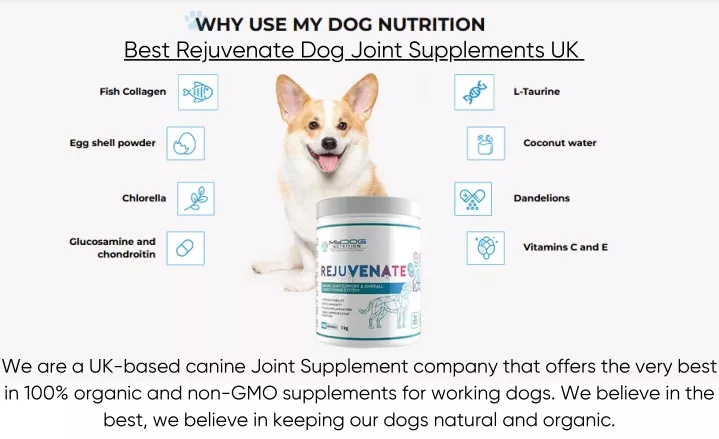 best rejuvenate dog joint supplements uk