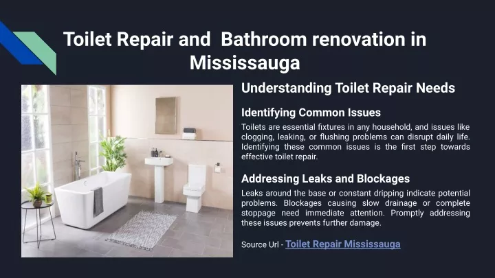 toilet repair and bathroom renovation